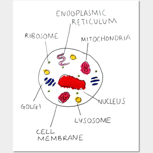 CELL CELL CELL Posters and Art